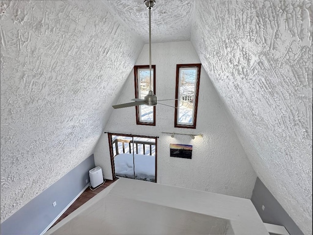 interior space featuring ceiling fan, plenty of natural light, and vaulted ceiling