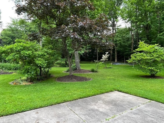 view of yard featuring a patio