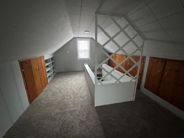 bonus room featuring lofted ceiling and carpet floors