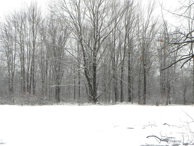 view of landscape featuring a forest view