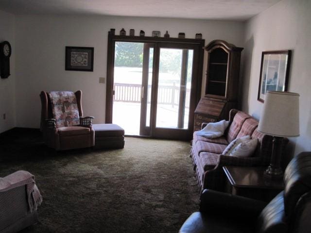 living room with carpet