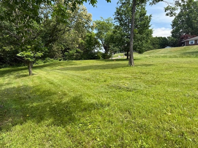 5913 Hillhaven Dr St, Erie, PA 16509 - photo 4