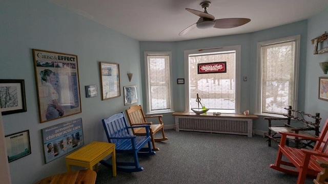 sitting room with radiator heating unit, ceiling fan, and carpet flooring