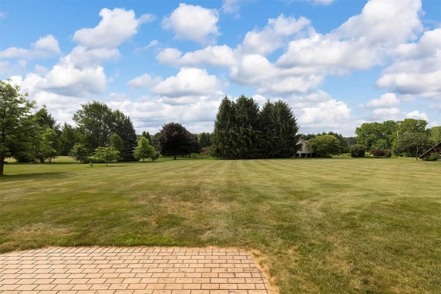 4031 Zimmerly Rd, Erie, PA 16506 - view of grassy yard