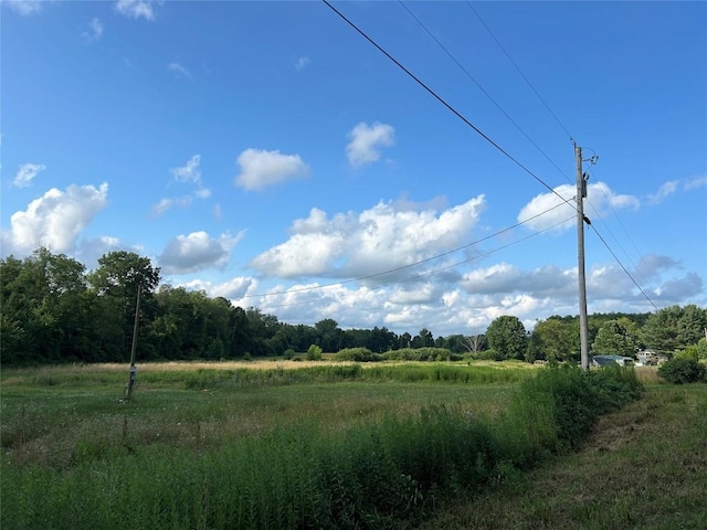 19657 Bockman Hollow Rd, Saegertown, PA 16433 - photo 19