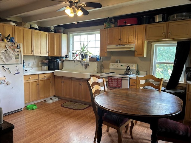 19657 Bockman Hollow Rd, Saegertown, PA 16433 - photo 2