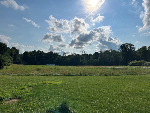 19657 Bockman Hollow Rd, Saegertown, PA 16433 - photo 17