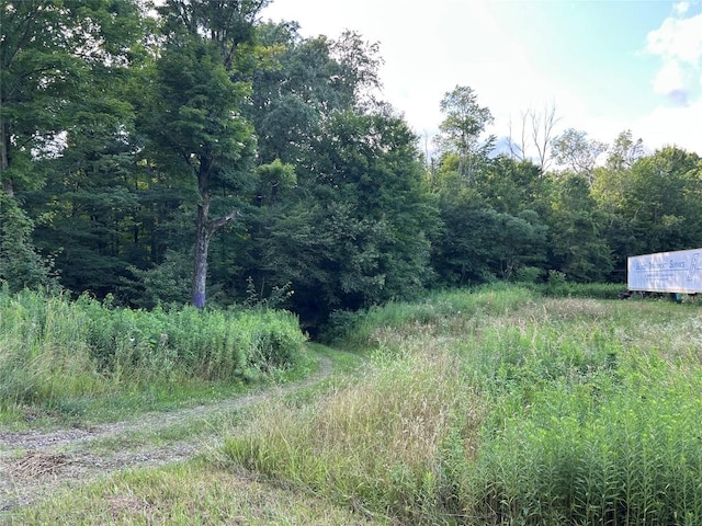 19657 Bockman Hollow Rd, Saegertown, PA 16433 - photo 18