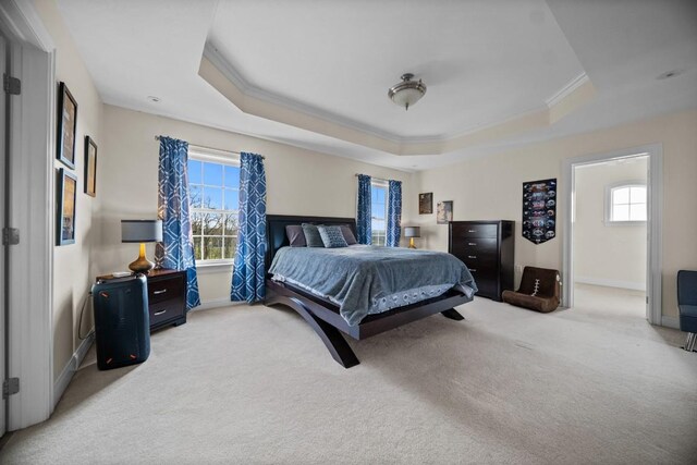 carpeted bedroom featuring a raised ceiling, multiple windows, and crown molding