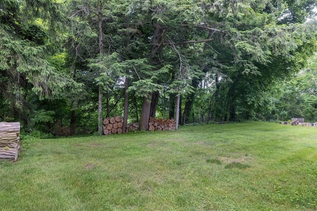 454 Orchard Beach Rd, North East, PA 16428 - view of green lawn featuring a wooded view