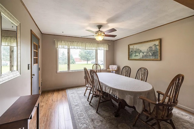454 Orchard Beach Rd, North East, PA 16428 - dining space featuring a ceiling fan, wood finished floors, and crown molding