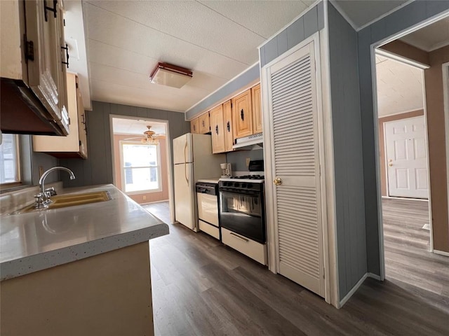 kitchen with white appliances, ceiling fan, dark wood-type flooring, sink, and range hood