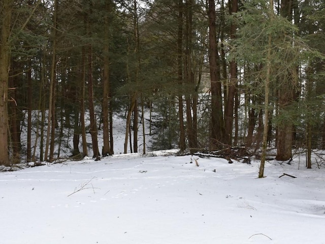 view of snow covered land