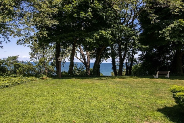 view of yard featuring a water view