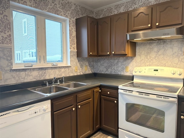 kitchen with dark brown cabinetry, sink, and white appliances