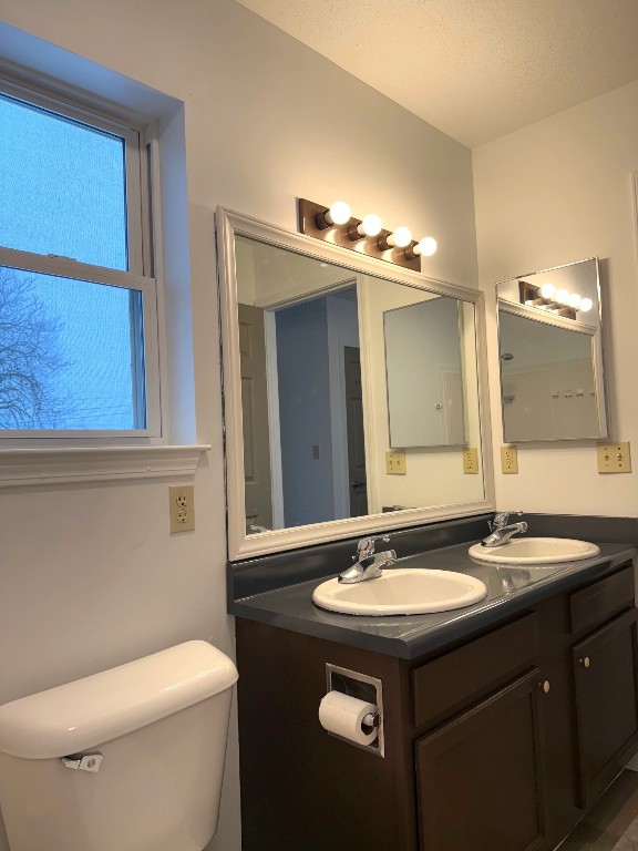 bathroom featuring vanity, a textured ceiling, and toilet