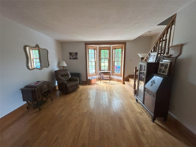 living area featuring wood-type flooring