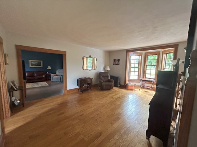 living room with hardwood / wood-style floors