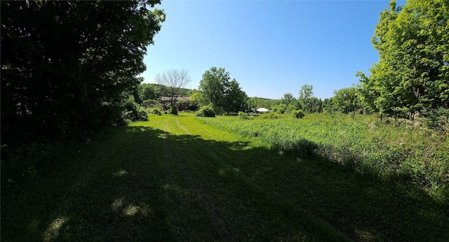 view of local wilderness featuring a rural view