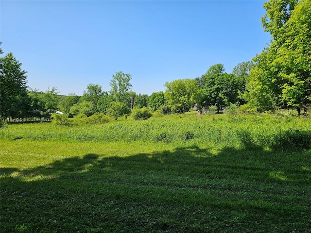 view of landscape featuring a rural view