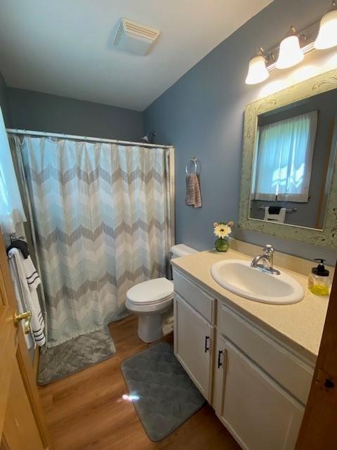 2156 Depot St, Waterford, PA 16441 - bathroom with wood finished floors, vanity, toilet, and curtained shower