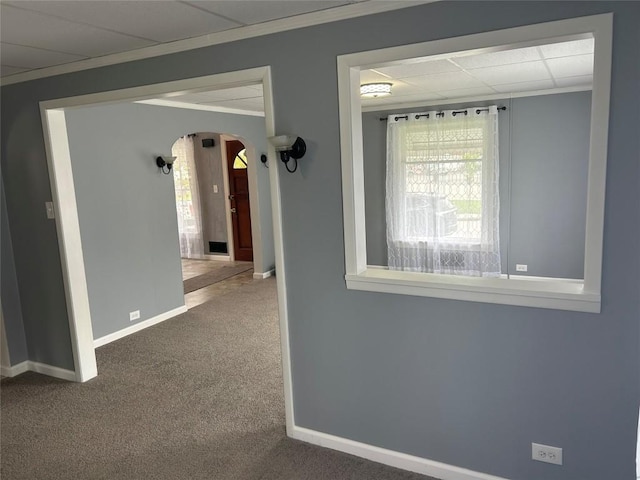 hallway with a drop ceiling, carpet floors, and ornamental molding