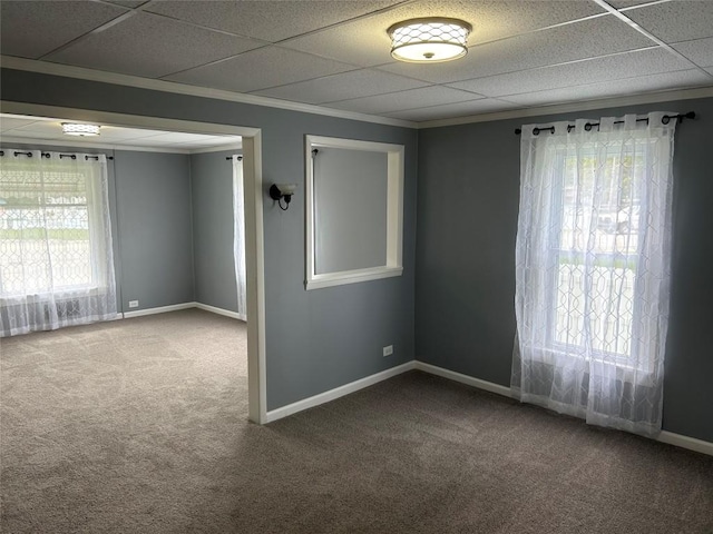 carpeted empty room featuring crown molding and a wealth of natural light