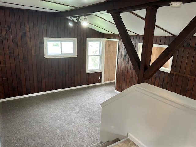 interior space featuring wooden walls, carpet, and track lighting