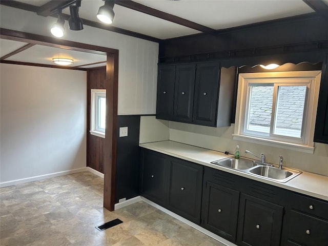 kitchen featuring plenty of natural light, wood walls, and sink