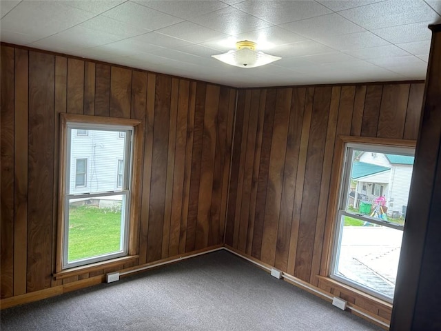 empty room featuring carpet, a healthy amount of sunlight, and wood walls