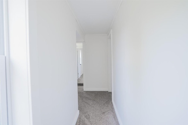 117 E Oak St, Titusville, PA 16354 - photo 14
