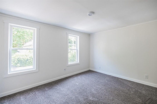 117 E Oak St, Titusville, PA 16354 - photo 16