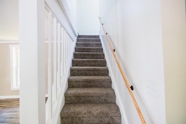 117 E Oak St, Titusville, PA 16354 - photo 13
