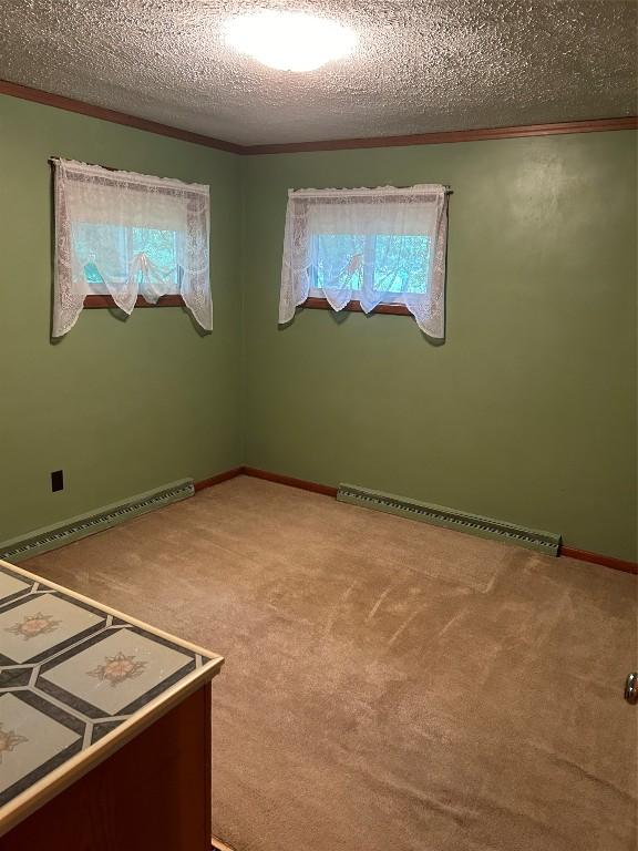 empty room with ornamental molding, carpet floors, a textured ceiling, and a baseboard radiator