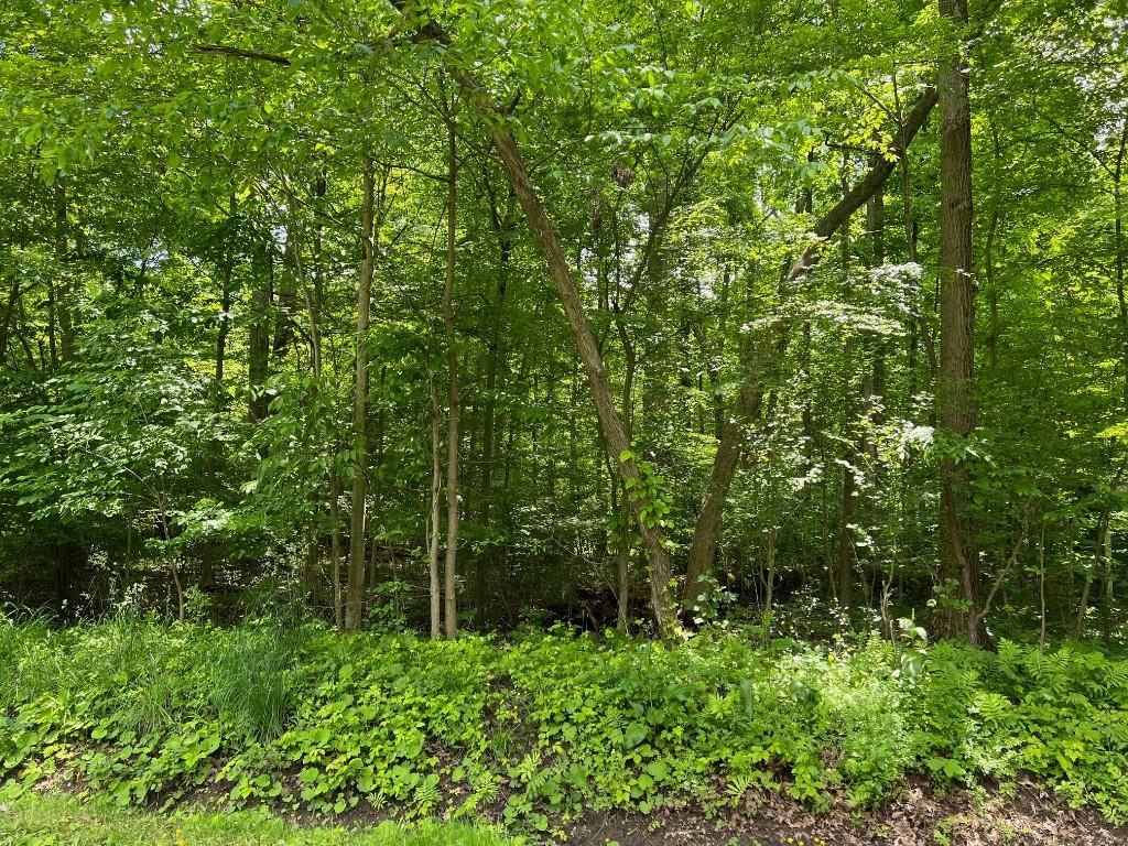 LOT425 Lakeview Rd, Jamestown, PA 16134