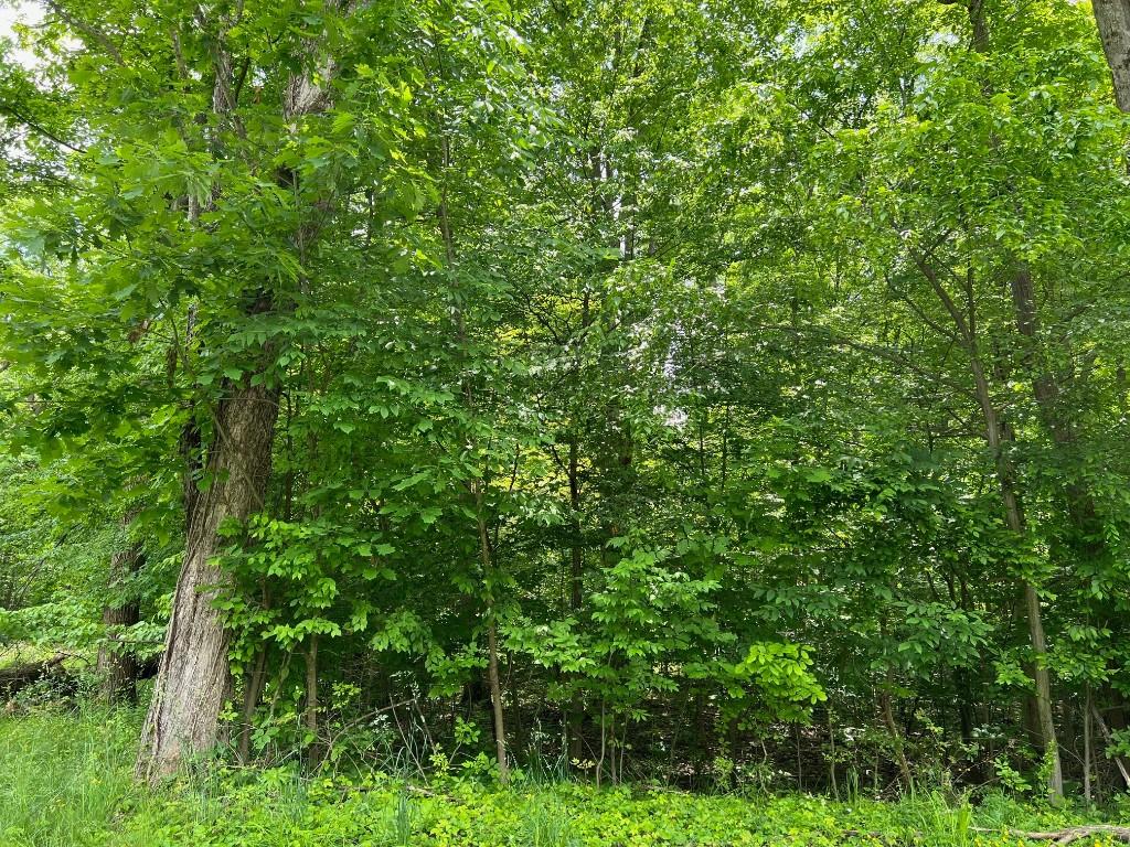 LOT425 Lakeview Rd, Jamestown, PA 16134