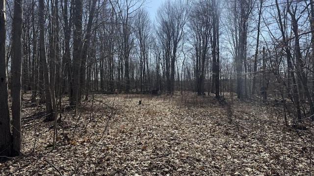 Mattocks Rd, Cochranton PA, 16314 land for sale