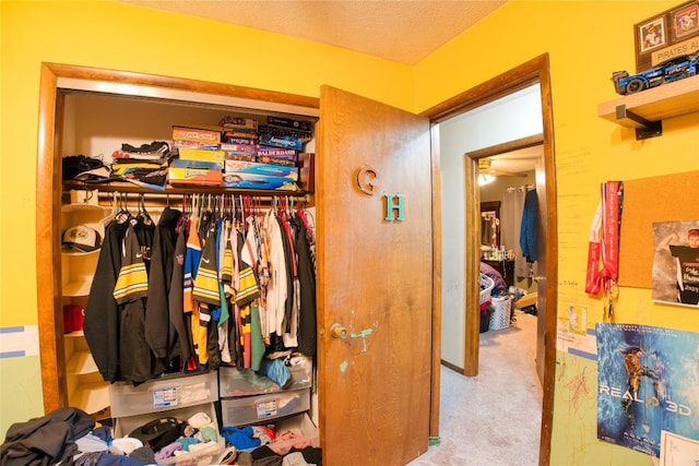 7712 Lakewood Dr, Fairview, PA 16415 - view of closet