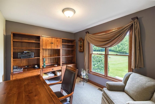 10170 Tiger Lily Ln, Waterford, PA 16441 - office with carpet, baseboards, and healthy amount of natural light