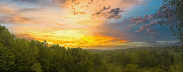 10170 Tiger Lily Ln, Waterford, PA 16441 - view of mountain backdrop featuring a heavily wooded area