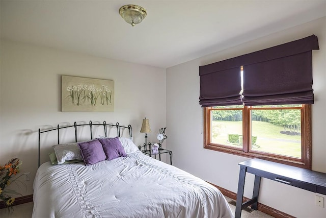 10170 Tiger Lily Ln, Waterford, PA 16441 - bedroom featuring baseboards