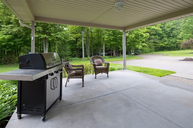10170 Tiger Lily Ln, Waterford, PA 16441 - view of patio / terrace