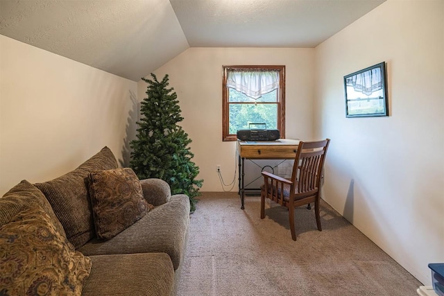 10170 Tiger Lily Ln, Waterford, PA 16441 - carpeted office space featuring lofted ceiling