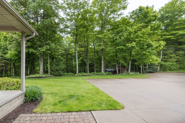 10170 Tiger Lily Ln, Waterford, PA 16441 - view of grassy yard
