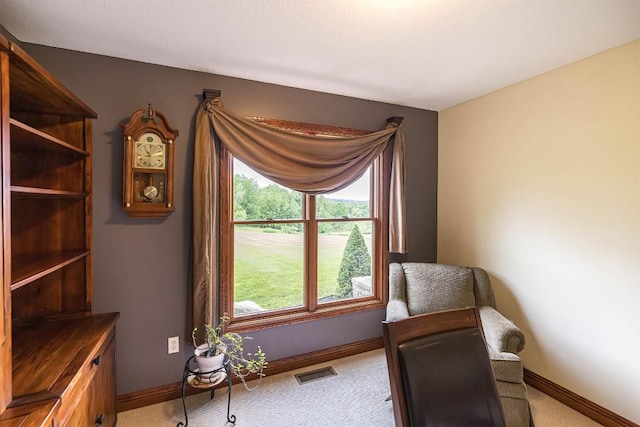 10170 Tiger Lily Ln, Waterford, PA 16441 - living area with carpet floors and baseboards