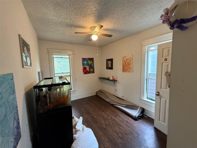 1146 W 5th St, Erie, PA 16502 - office area with carpet and ceiling fan