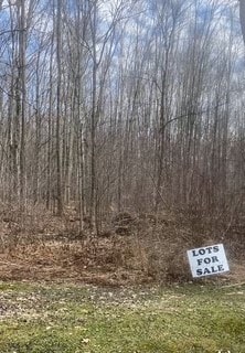 Conaway Dr, Linesville PA, 16424 land for sale