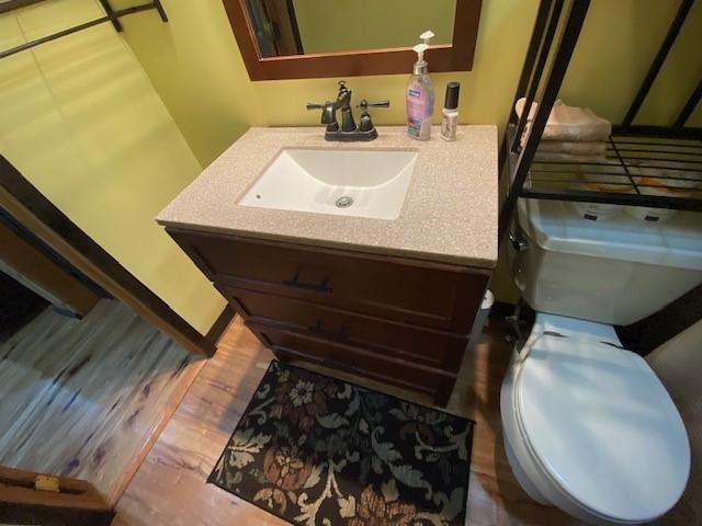 10634 N Edgewood Dr, Lake City Borough, PA 16423 - bathroom featuring toilet, vanity, and wood finished floors