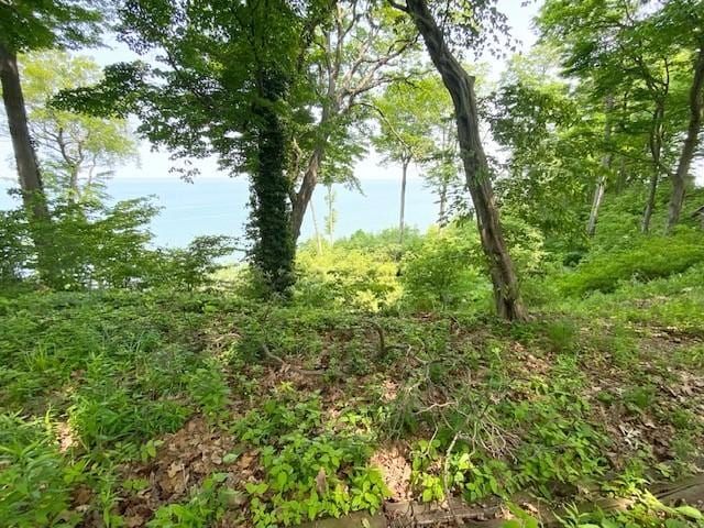 10634 N Edgewood Dr, Lake City Borough, PA 16423 - view of undeveloped land