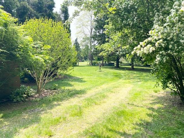 10634 N Edgewood Dr, Lake City Borough, PA 16423 - view of green lawn